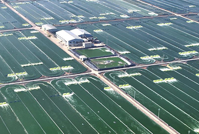 Aerial view of traditional open outdoor pond cultivation